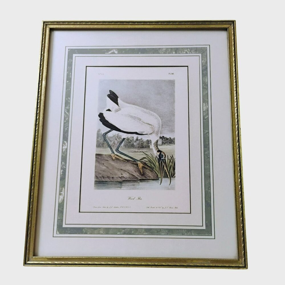 Framed Audubon Print "Wood Ibis" Vintage J.T. Bowen Lithograph 23x19 Bird Art